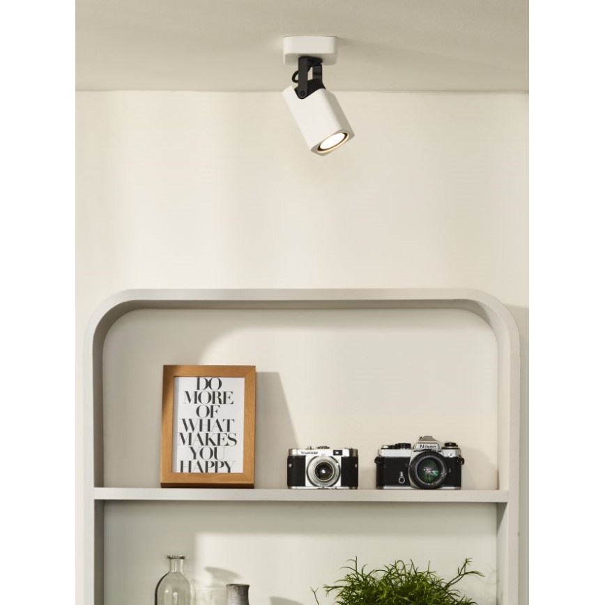 Lucide 33961/05/31 - LED Stmívatelné bodové svítidlo ROAX 1xGU10/5W/230V bílé