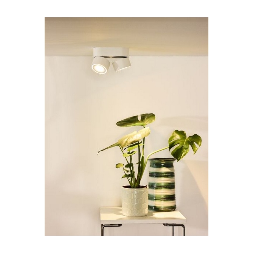 Lucide 35911/16/31 - LED Stmívatelné bodové svítidlo YUMIKO 2xLED/8W/230V bílá