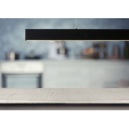 Lucide 45455/50/30 - LED závěsné svítidlo RAYA LED LED/50W/230V černé
