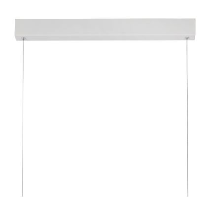 Lucide 45455/50/31 - LED závěsné svítidlo RAYA LED LED/50W/230V bílé