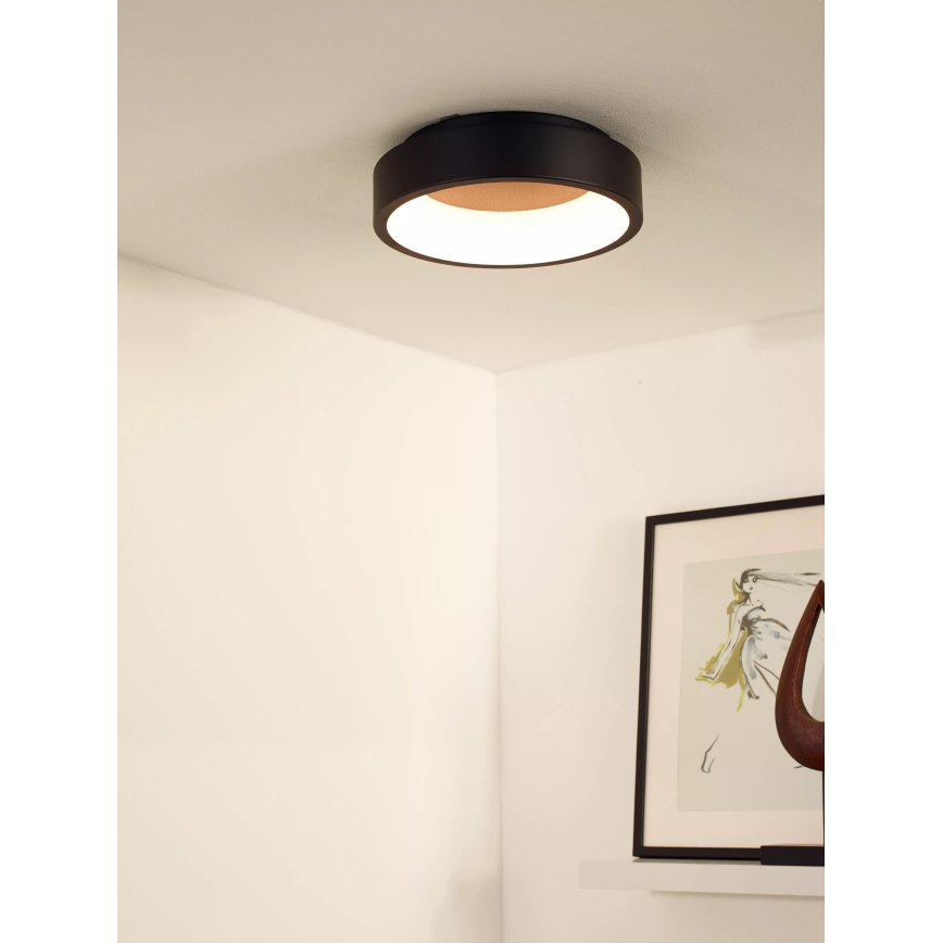Lucide 46100/20/30 - LED Stmívatelné stropní svítidlo TALOWE LED/20W/230V černá