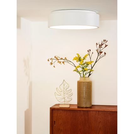 Lucide 46100/32/31 - LED Stmívatelné stropní svítidlo TALOWE LED LED/30W/230V