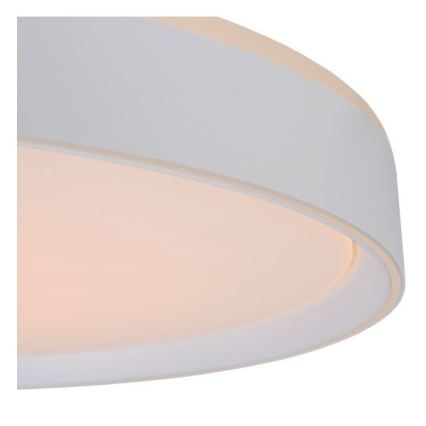 Lucide 79182/36/31 - LED Stmívatelné stropní svítidlo NURIA LED/36W/230V