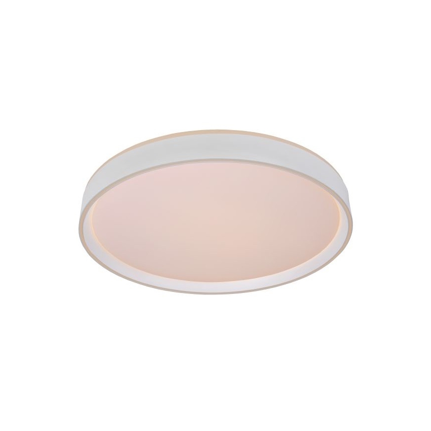 Lucide 79182/36/31 - LED Stmívatelné stropní svítidlo NURIA LED/36W/230V