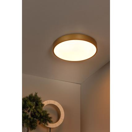 Lucide 79185/40/02 - LED Stmívatelné stropní svítidlo UNAR LED/24W/230V pr. 39,5 cm zlatá