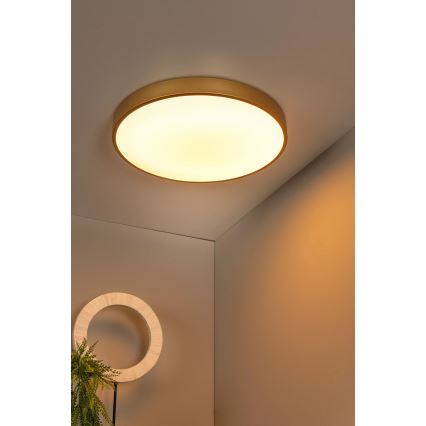 Lucide 79185/50/02 - LED Stmívatelné stropní svítidlo UNAR LED/36W/230V pr. 49,5 cm zlatá