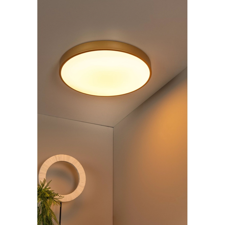 Lucide 79185/50/02 - LED Stmívatelné stropní svítidlo UNAR LED/36W/230V pr. 49,5 cm zlatá