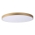 Lucide 79185/80/02 - LED Stmívatelné stropní svítidlo UNAR LED/80W/230V pr. 80 cm zlatá