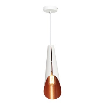 Lustr CALYX 1xE27/60W/230V