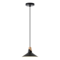 Lustr na lanku 1xE27/15W/230V černá