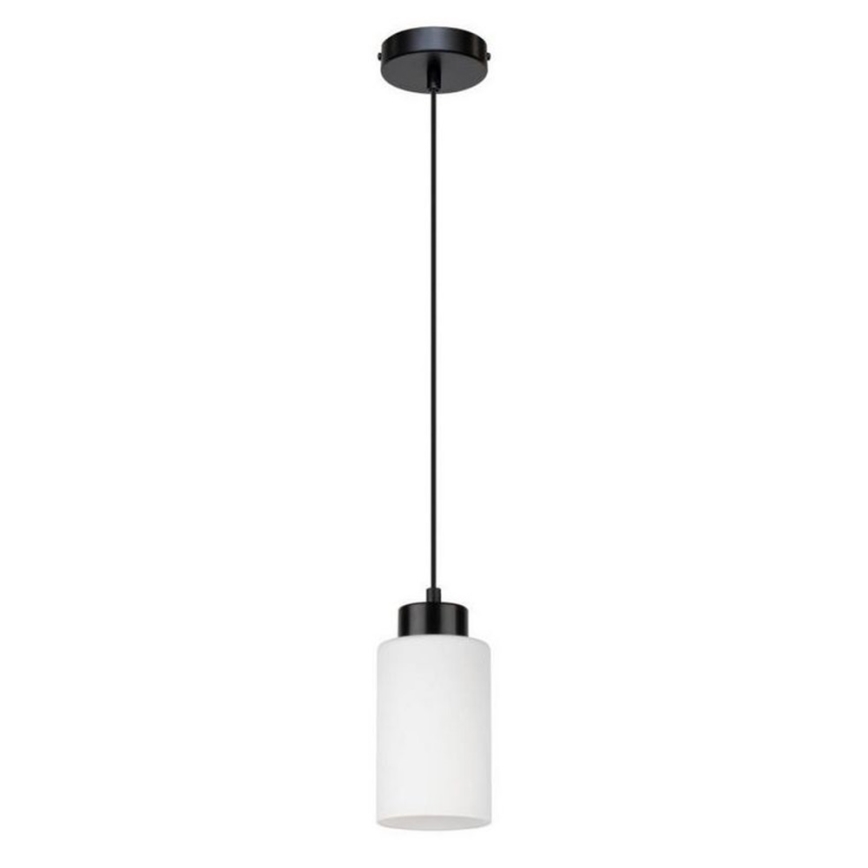 Lustr na lanku BOSCO 1xE27/60W/230V