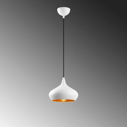 Lustr na lanku DODO 1xE27/40W/230V bílá