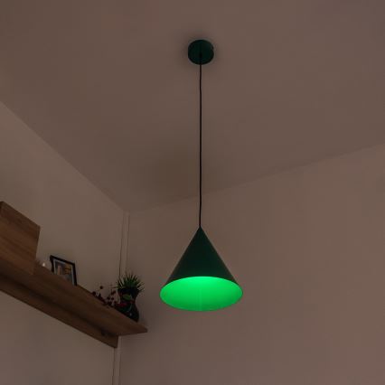 Lustr na lanku ETNA 1xE27/15W/230V pr. 25 cm zelená
