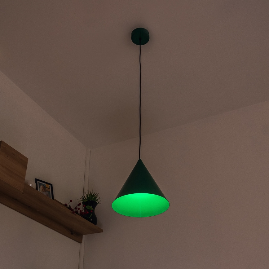 Lustr na lanku ETNA 1xE27/15W/230V pr. 25 cm zelená