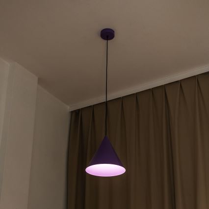Lustr na lanku ETNA II 1xE27/15W/230V pr. 25 cm fialová