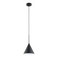 Lustr na lanku FABO 1xE27/15W/230V pr. 20,5 cm černá