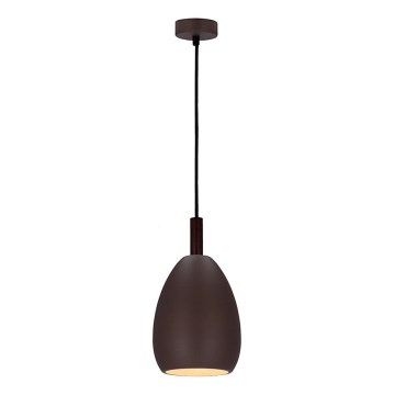 Lustr na lanku FLEN 1xE27/40W/230V pr. 16 cm hnědá