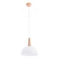 Lustr na lanku FOTYN 1xE27/15W/230V hnědá