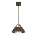 Lustr na lanku FUNDA 1xE27/15W/230V hnědá