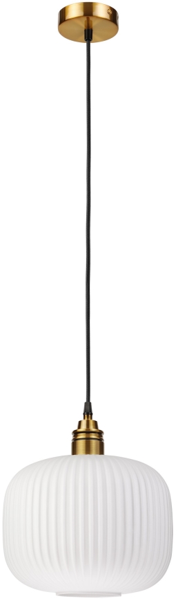 Lustr na lanku HECTOR 1xE27/15W/230V pr. 25 cm