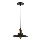 Lustr na lanku LOFT 1xE27/60W/230V pr. 22 cm černá