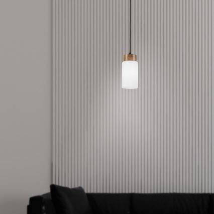 Lustr na lanku MARKUS 1xE27/15W/230V černá/dub