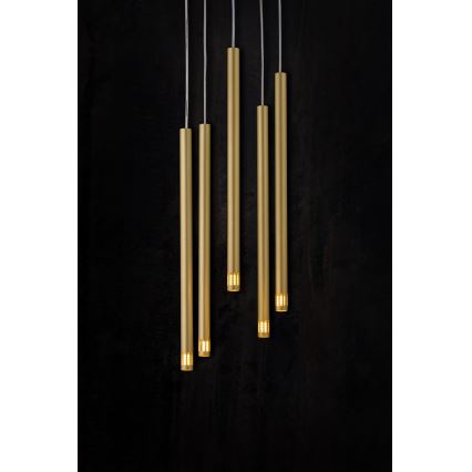 Lustr na lanku STALACTITE LASER 5xG9/2,5W/230V zlatá