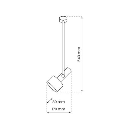 Lustr na tyči LINTERNA 1xGX53/12W/230V černá