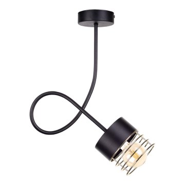 Lustr na tyči ROY 1xE27/60W/230V černá