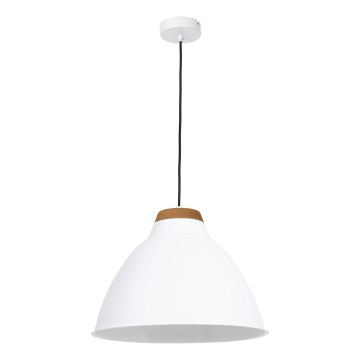 Lustr SKAL 1xE27/60W/230V