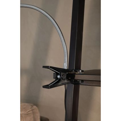 Markslöjd 106092 - LED Stolní lampa s klipem TULIP LED/3W/230V černá