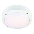 Markslöjd 106536 - LED Stropní svítidlo LUNA LED/10W/230V