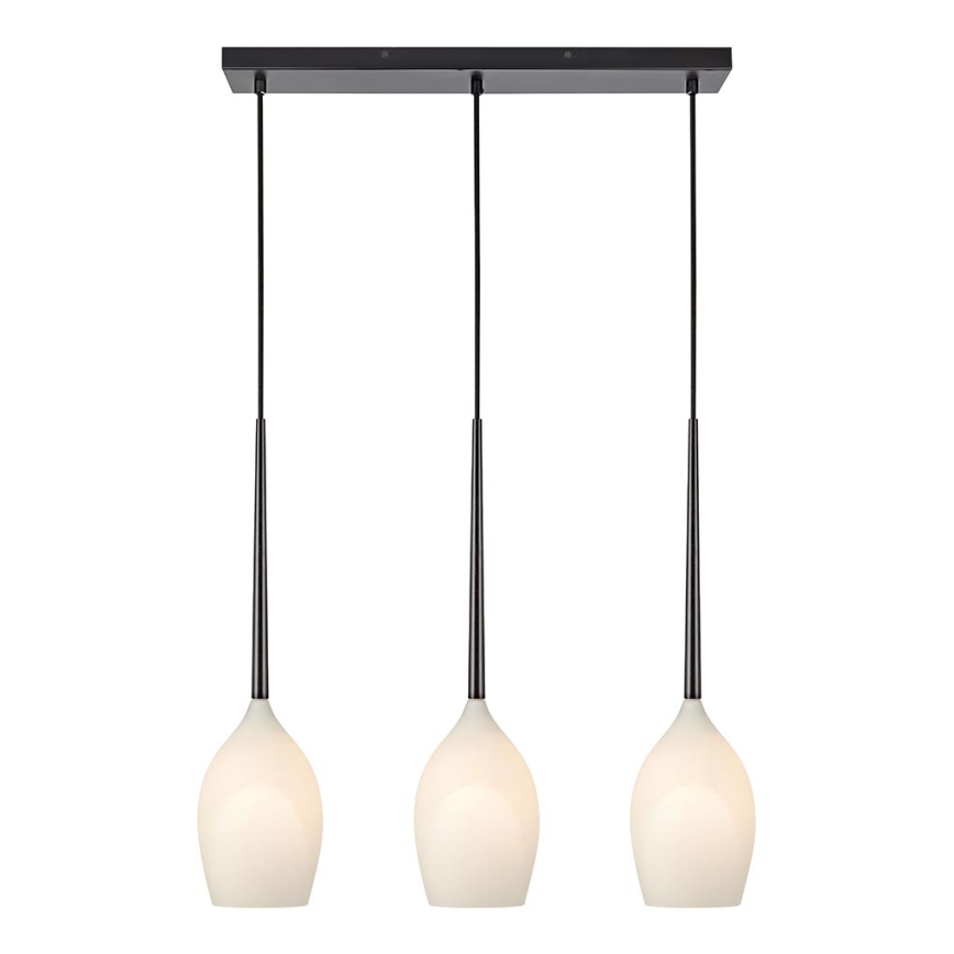 Markslöjd 106808 - Lustr na lanku SALUTE 3xE14/40W/230V