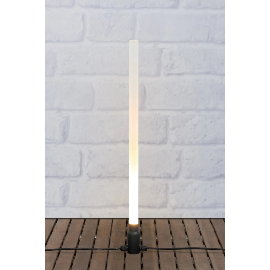 Markslöjd 107719 - LED Venkovní lampa GARDEN24 LED/3W/24V 66 cm IP44 černá/čirá