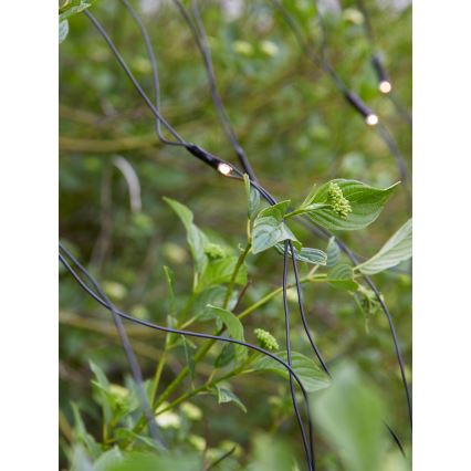 Markslöjd 108178 - LED Venkovní vánoční závěs GARDEN24 160xLED/24V 2x2m teplá bílá