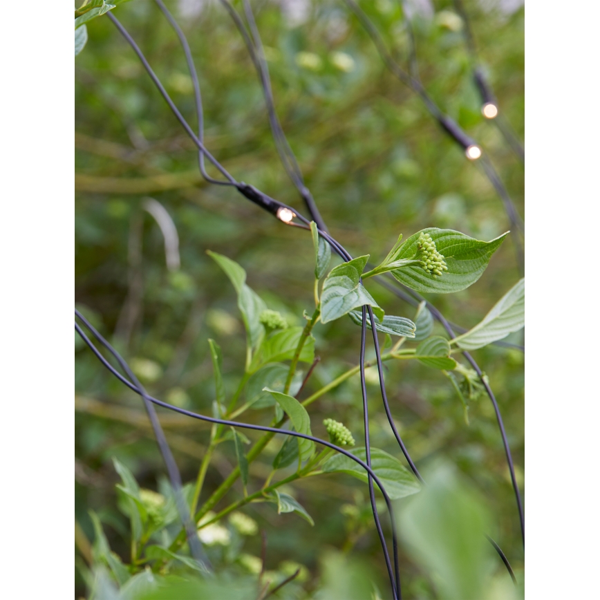 Markslöjd 108178 - LED Venkovní vánoční závěs GARDEN24 160xLED/24V 2x2m teplá bílá