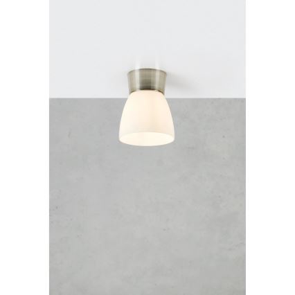 Markslöjd 109026 - Koupelnové stropní svítidlo NERJA 1xE27/40W/230V IP44 matný chrom