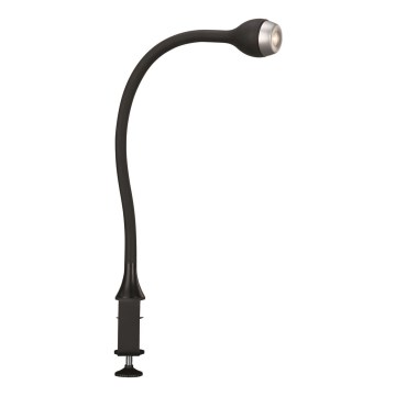 Massive 66705/30/10 - LED Nástěnná stolní lampička JARNO 1xLED/2,5W černá