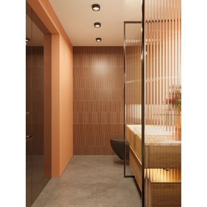 MAXLIGHT C0204 - LED Koupelnové stropní svítidlo KODAK LED/8W/230V pr. 10,8 cm IP44 černá