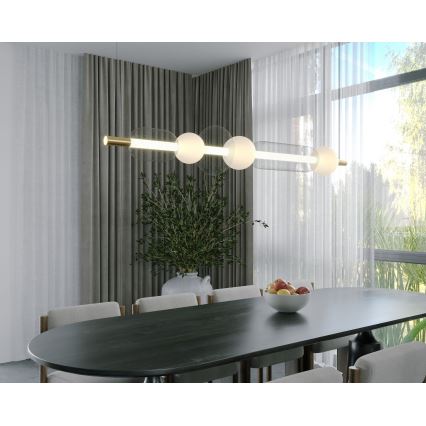 MAXLIGHT P0593 - LED Lustr na lanku BORA LED/29W/230V bílá/černá