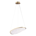 MAXLIGHT P0637D - LED Lustr na lanku EMPIRE LED/17W/230V zlatá