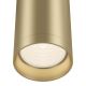 Maytoni C010CL-01MG - Bodové svítidlo FOCUS 1xGU10/50W/230V zlatá
