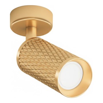 Maytoni C034CL-01G - Bodové svítidlo FOCUS 1xGU10/10W/230V zlatá