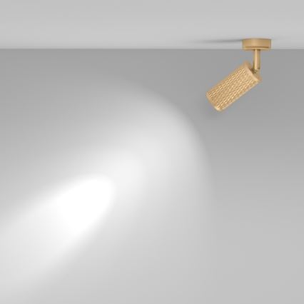 Maytoni C034CL-01G - Bodové svítidlo FOCUS 1xGU10/10W/230V zlatá