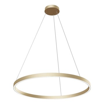 Maytoni MOD058PL-L42BS3K - LED Lustr na lanku RIM LED/51W/230V 3000K pr. 80 cm zlatá