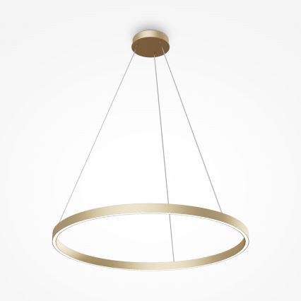 Maytoni MOD058PL-L42BS4K - LED Lustr na lanku RIM LED/51W/230V 4000K pr. 80 cm zlatá