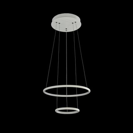 Maytoni - LED Lustr na lanku NOLA LED/36W/230W
