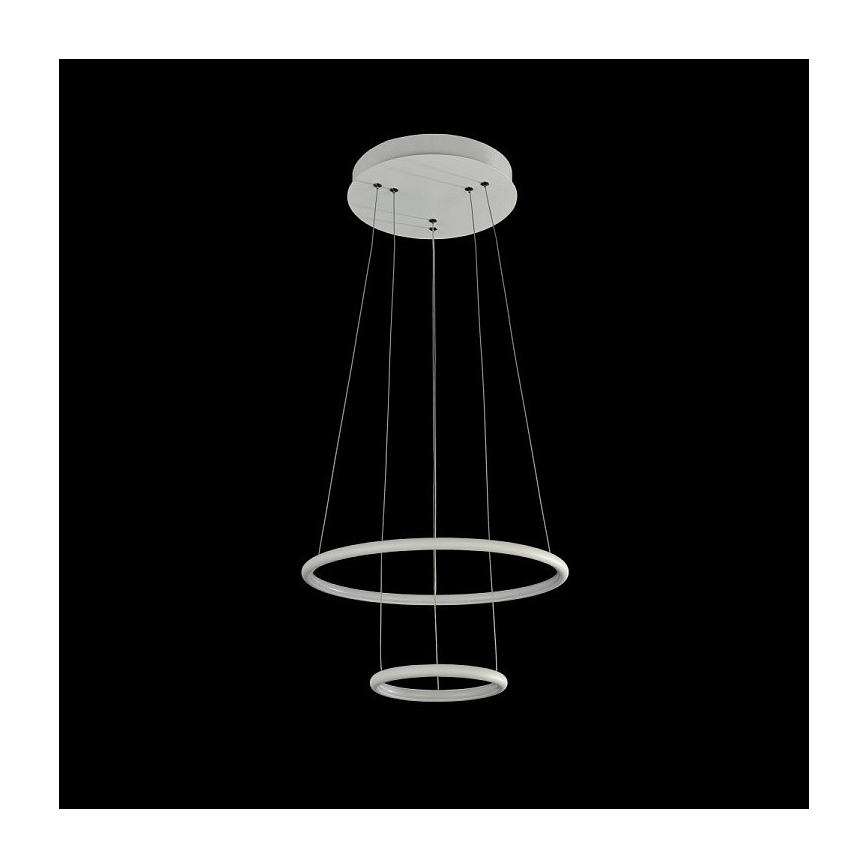 Maytoni - LED Lustr na lanku NOLA LED/36W/230W