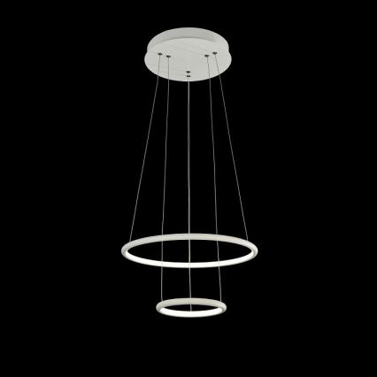 Maytoni - LED Lustr na lanku NOLA LED/36W/230W