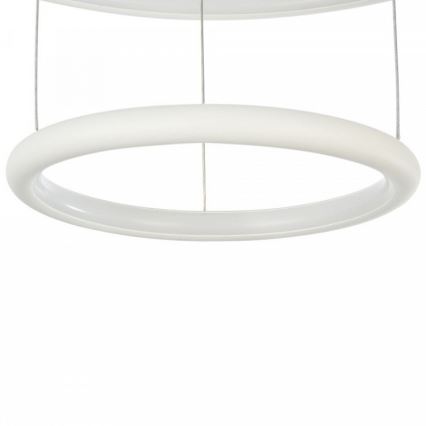 Maytoni - LED Lustr na lanku NOLA LED/36W/230W